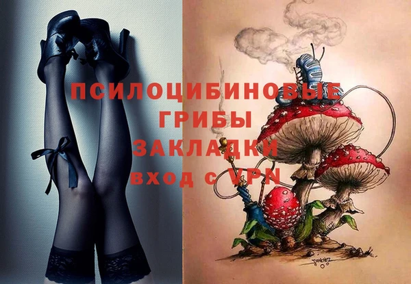 меф Касимов