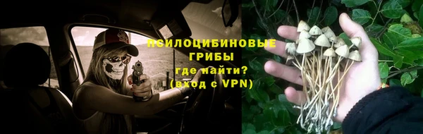 МДМА Каменногорск