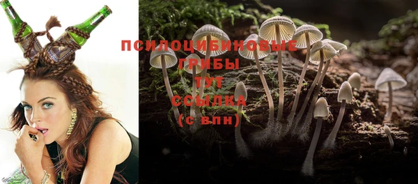 меф Касимов